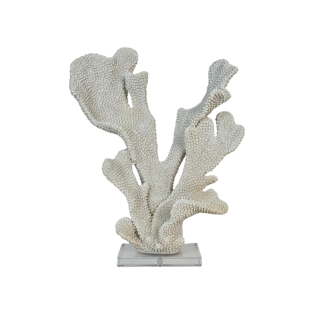 [258997] CORAL DECOR 439-7810249