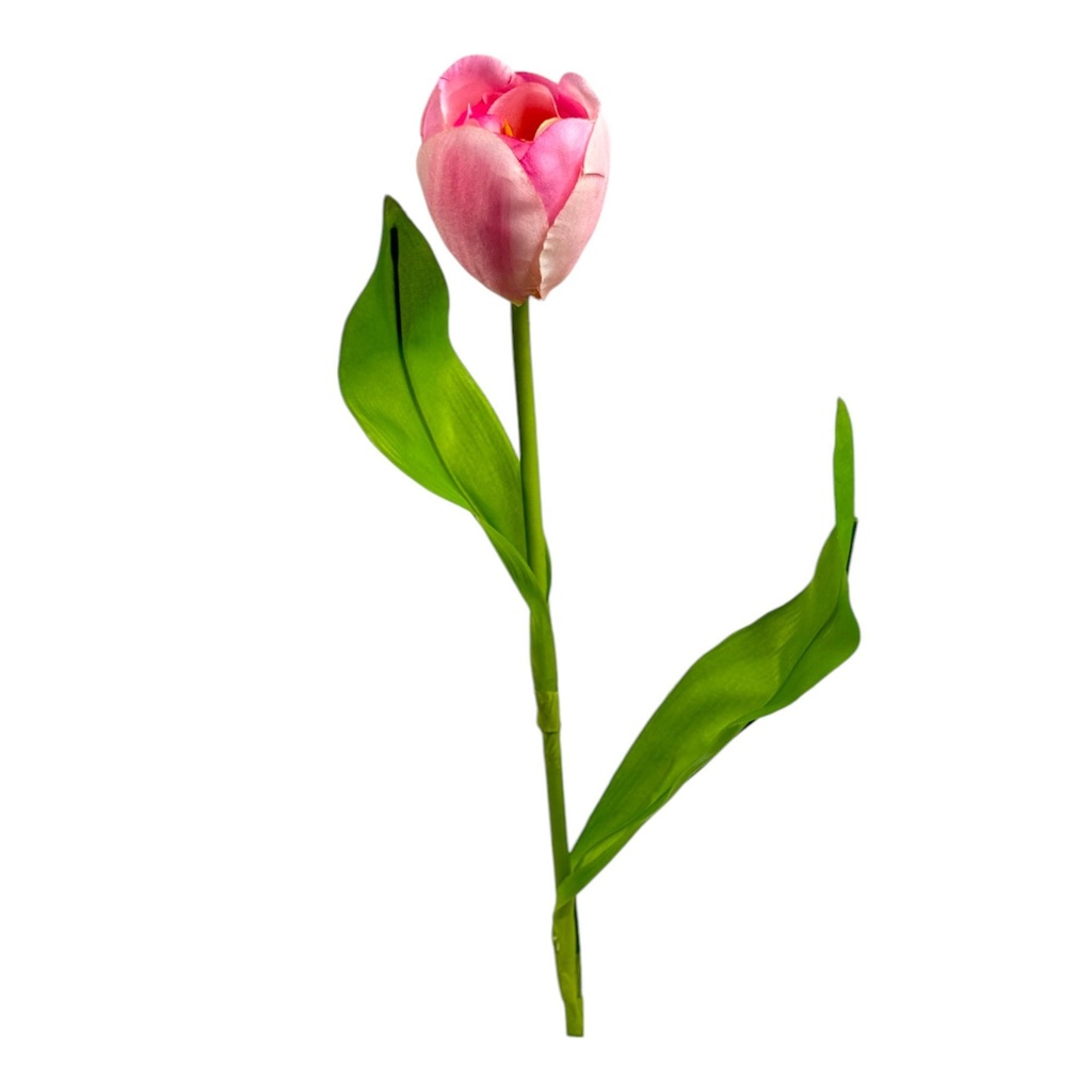 TULIP DECOR 456-513200