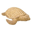 TURTLE RSN OCEA H7 214875
