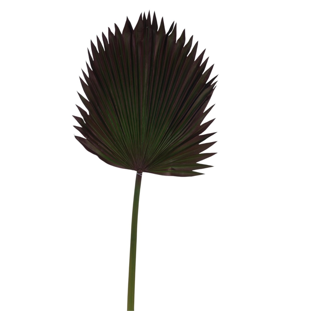 [270011] HOJA DECOR 5X117CM 420-5910403