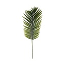 HOJA DE PALMERA H113 116494