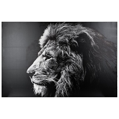 [271250] LIENZO IMPRESO LEON 78X118 158210