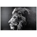 LIENZO IMPRESO LEON 78X118 158210