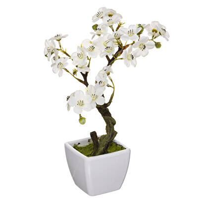 OLLA BLOSSOM MELA H26 185470