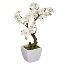 OLLA BLOSSOM MELA H26 185470