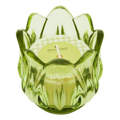 [271600] VELA AROMATICA 75G FLDR GL 214859
