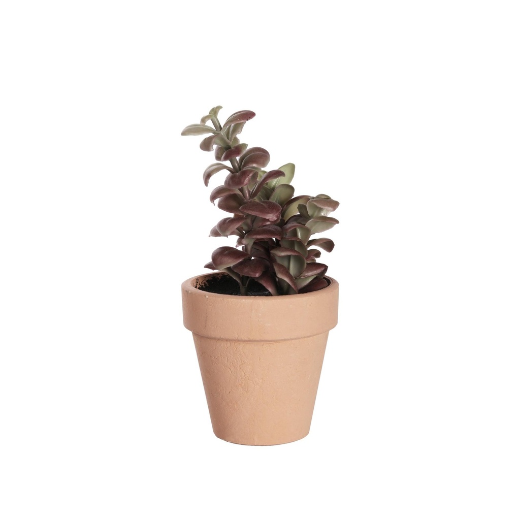 [77675] PLANTA C/ POTE DECOR 456-502087