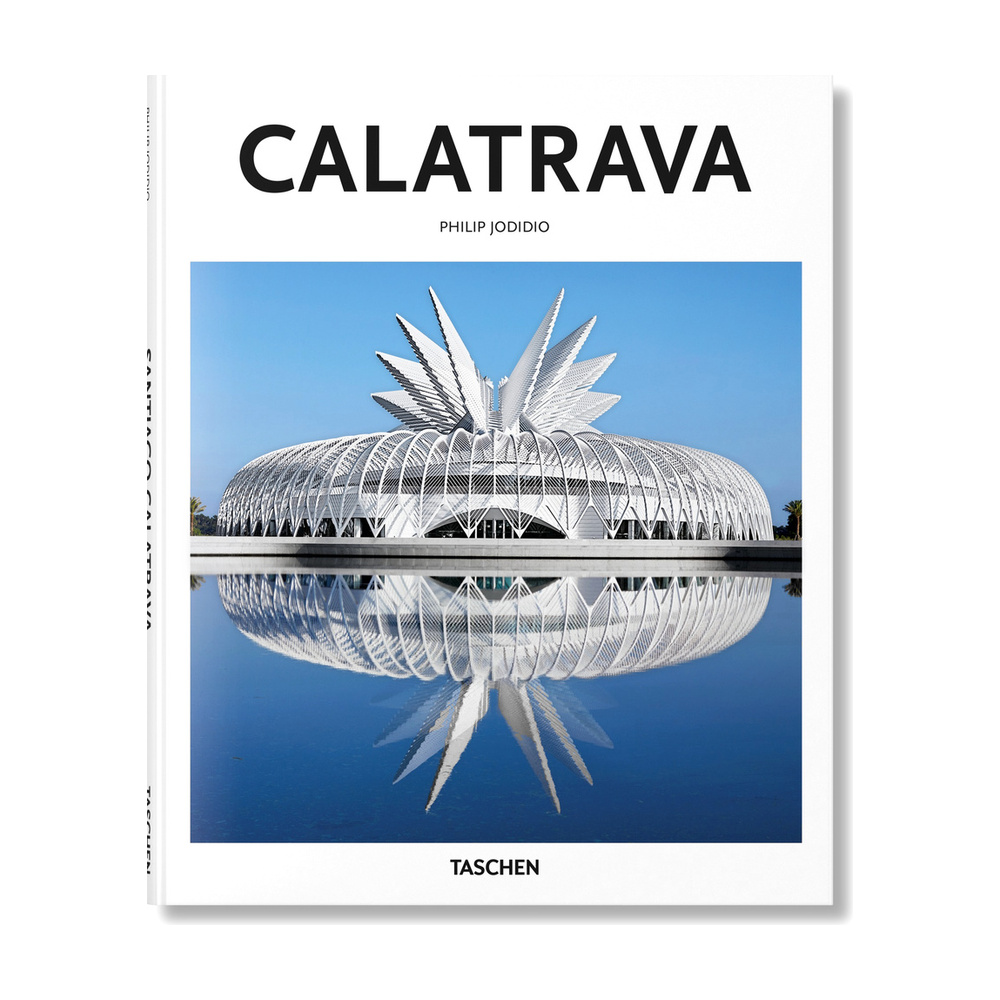 [100411] CALATRAVA ARCH