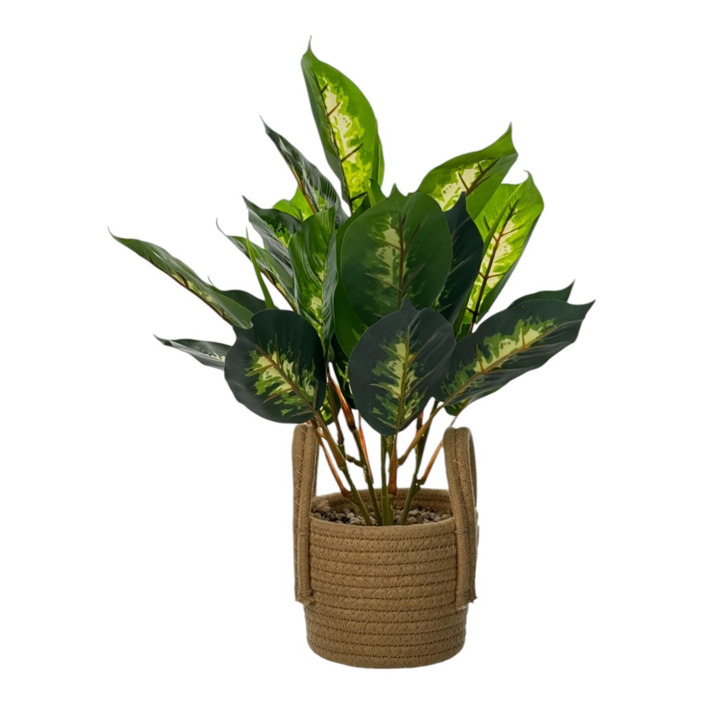 [248777] PLANTA C/POTE HOJAS GRANDES 11X13X41.5CM 532-53197