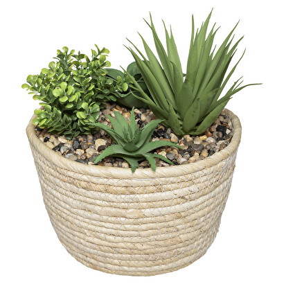 PLANTA CON CESTA NATURAL D17 H19 179223