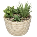 PLANTA CON CESTA NATURAL D17 H19 179223