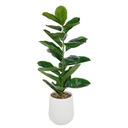 FICUS MACETA CELESTE RAYAS H145 210133