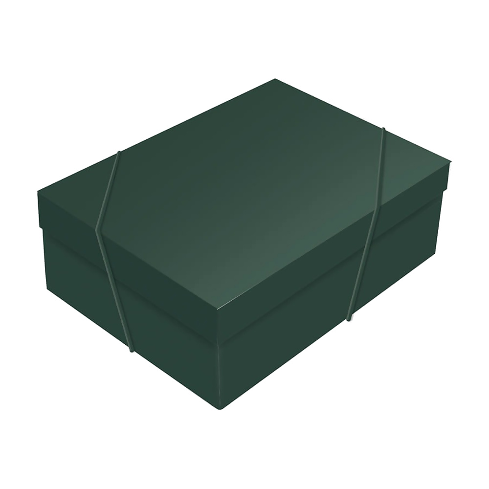 CAJA RECT PINHEIRO VERDE G 46X33X14 1UN 13006028
