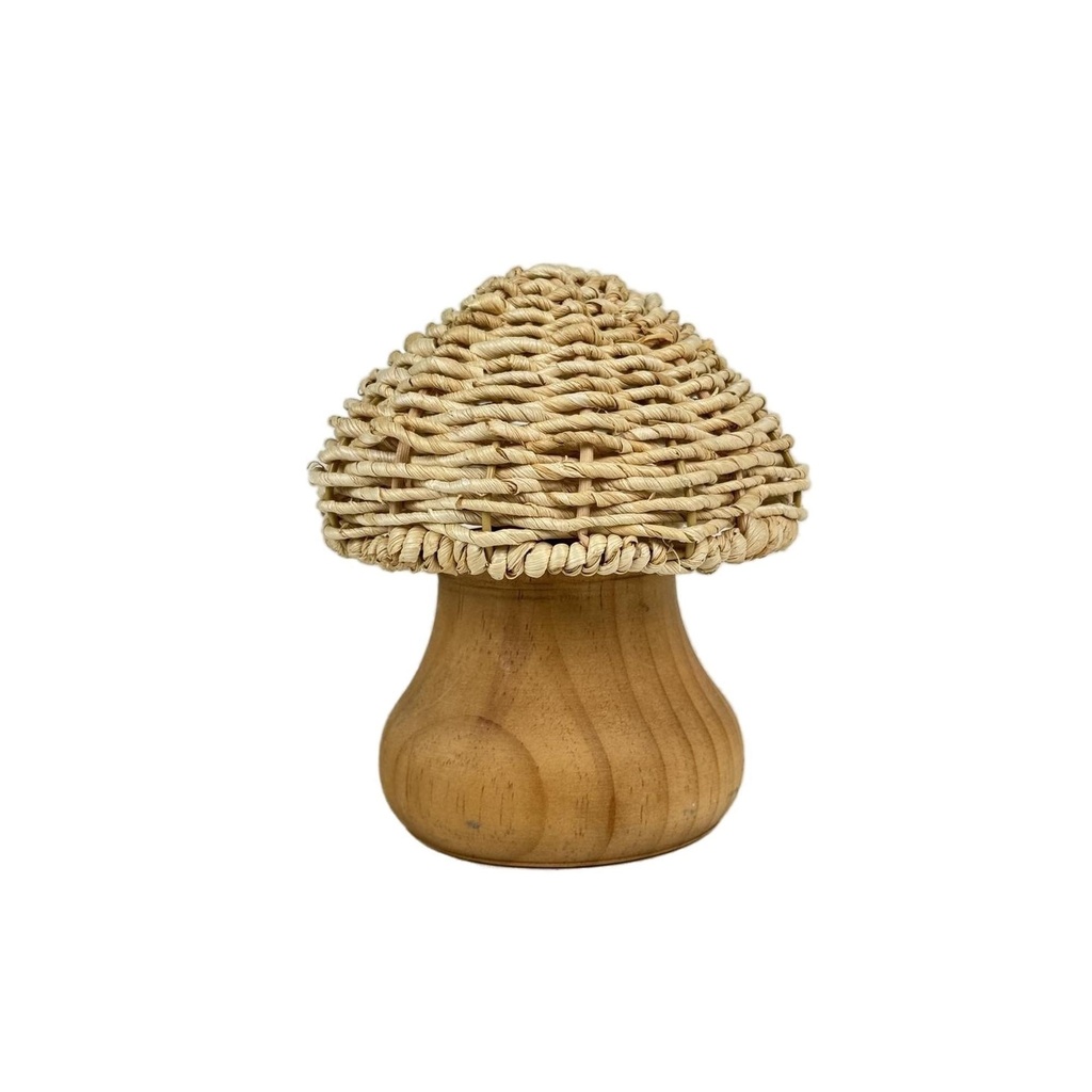 [270783] HONGO DECORATIVO 14X14X16.5CM 454-4500068