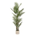 PALMERA CON MACETA PLASTICO MERLO H180 214061