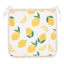 COJIN SILLA FRUITY 39X39 215336A