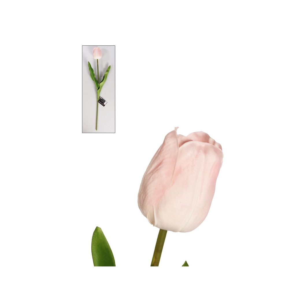 [77685] TULIPANES DECOR 60 456-502142.