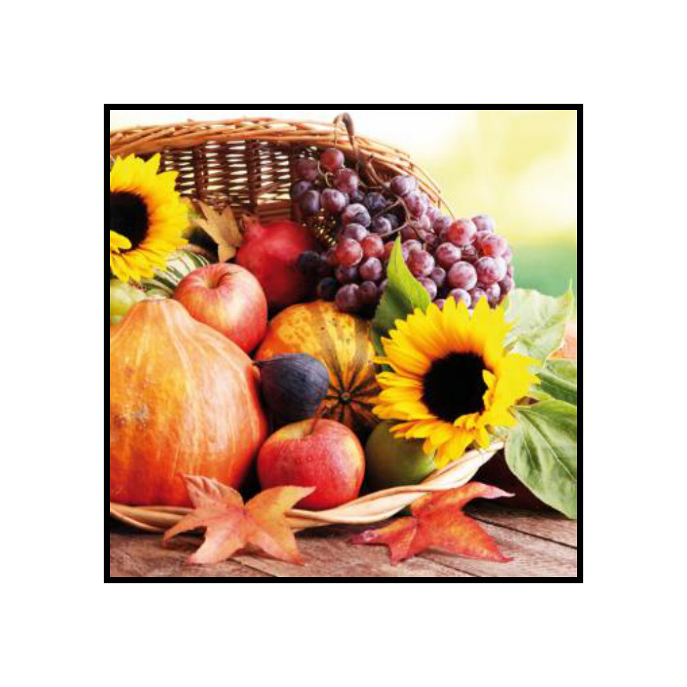SERVILLETAS 33CM THANKSGIVING DINNER 342033
