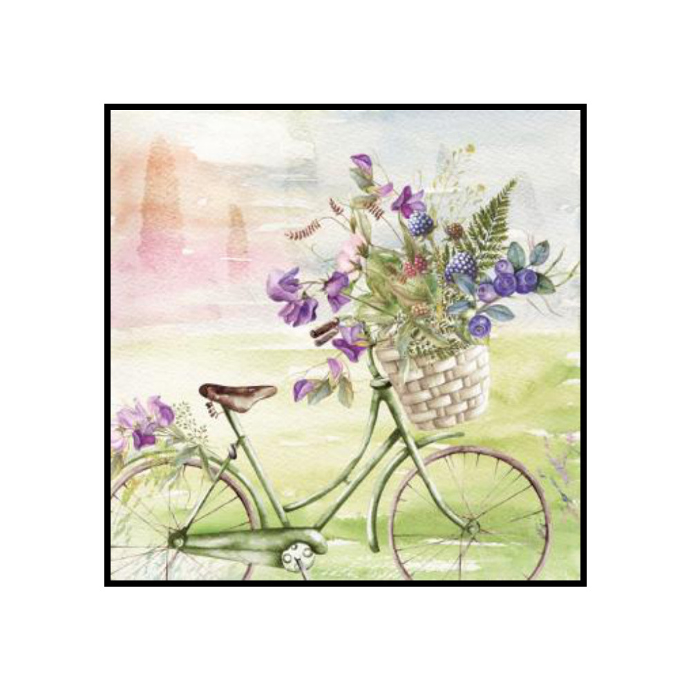 [276680] SERVILLETAS 33CM SUMMER RIDE 344411