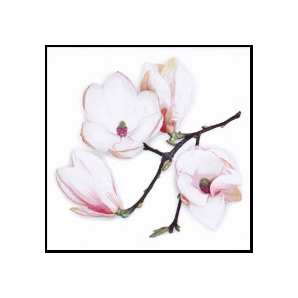 [276720] SERVILLETAS WHITE MAGNOLIA BLANCO 33CM 367803