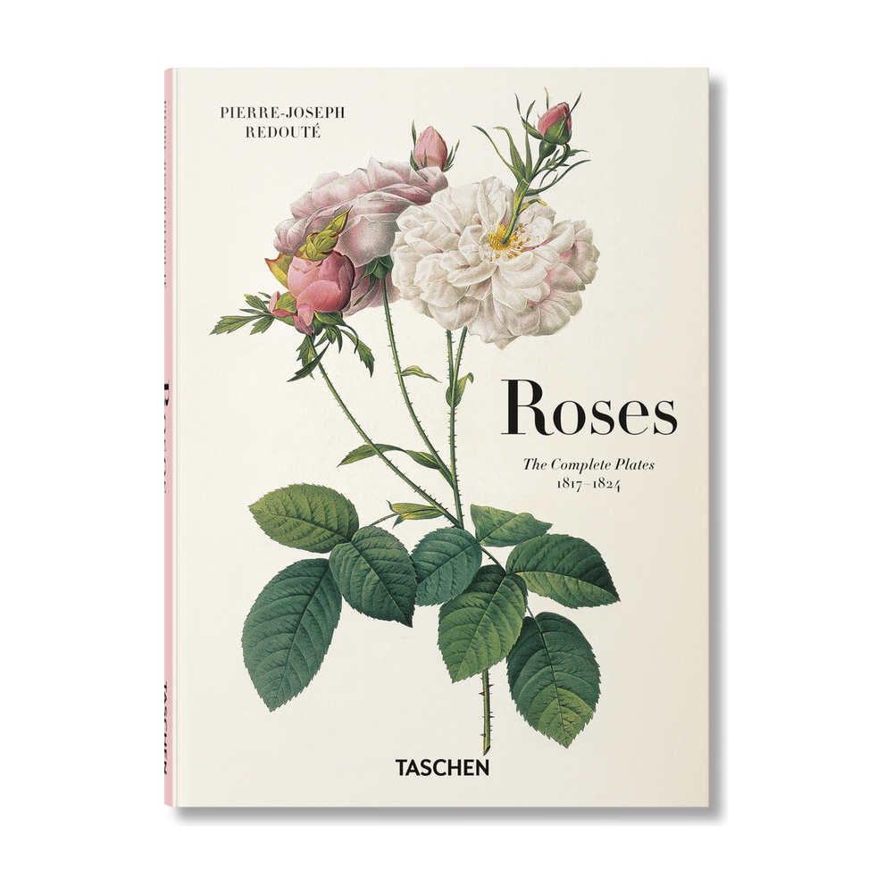[279155] REDOUTE ROSAS