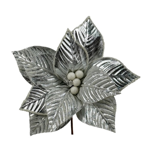 [279649] POINSETTIA 201-3500444