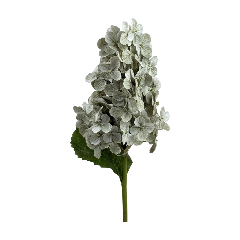 HORTENSIA 20X16X68CM 420-5910493