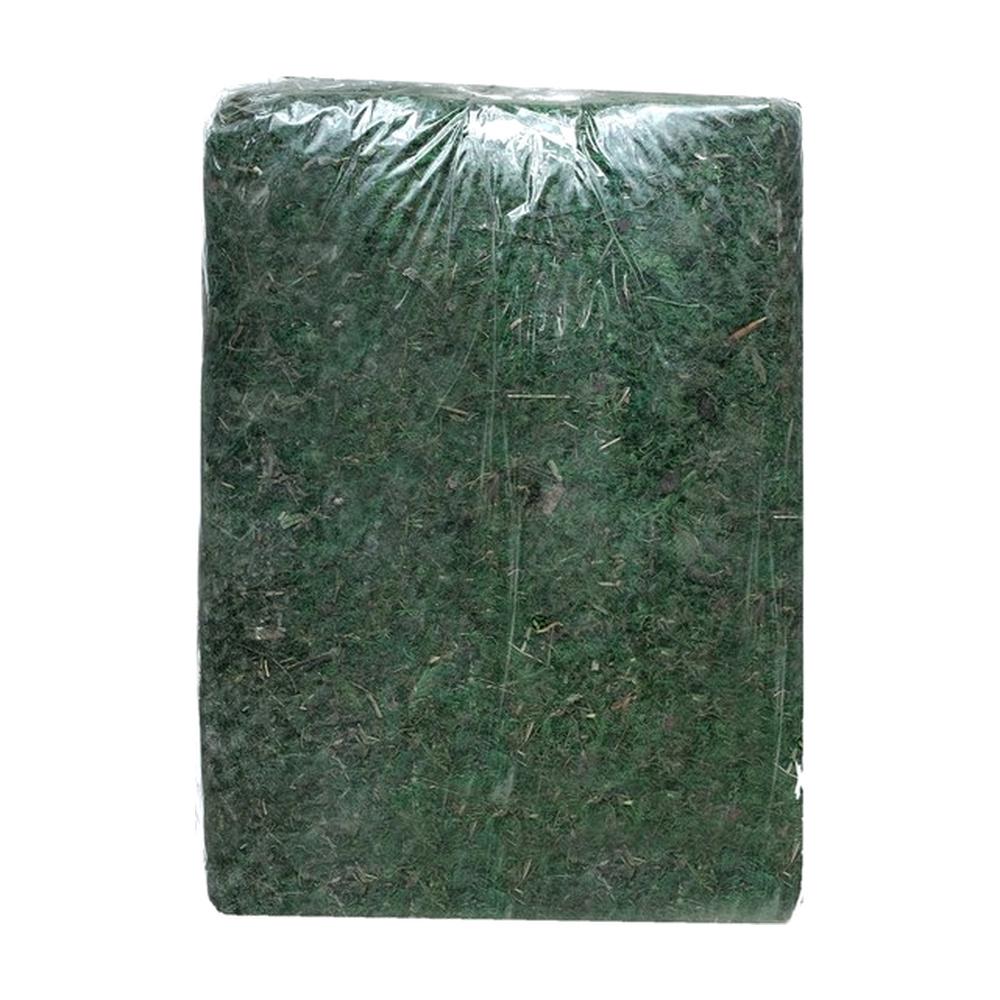 BOLSA MUSGO 24X37CM 12 PIEZAS VERDE 831-D158-2606