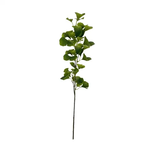 [105281] RAMA GINKGO VERDE 456-512615