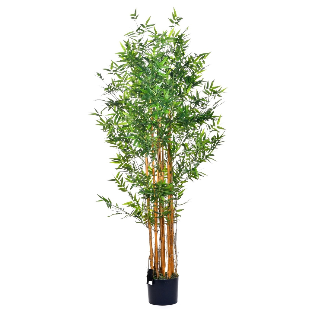 PLANTA C/ POTE 592-312082