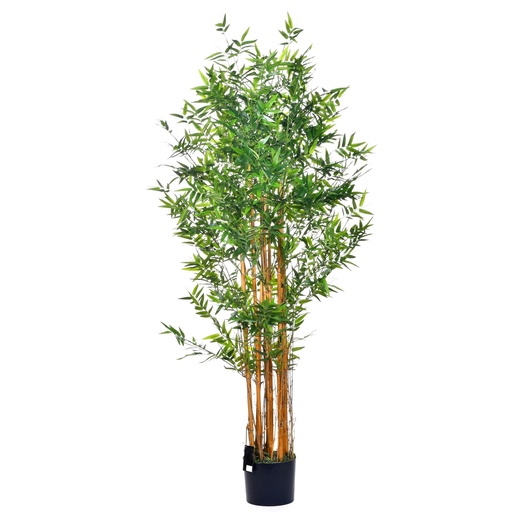 [114833] PLANTA C/ POTE 592-312082