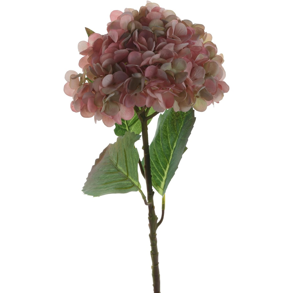 HORTENSIA 140-1300048