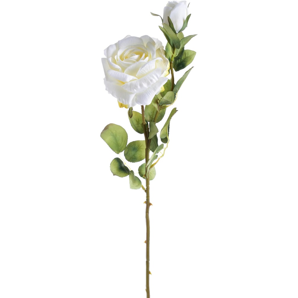 FLOR ROSA BLANCA 456-502997