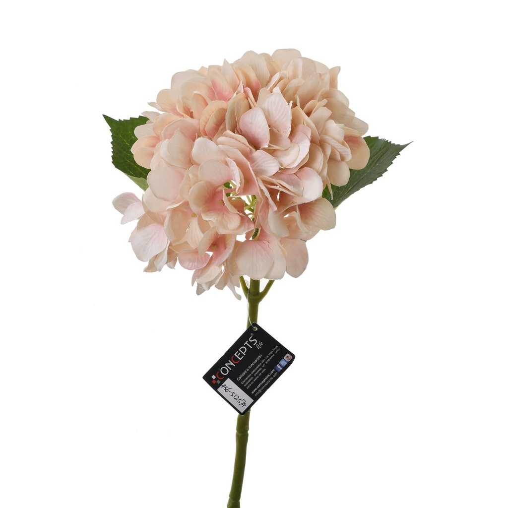 FLOR HORTENCIA CREMA 456-512574